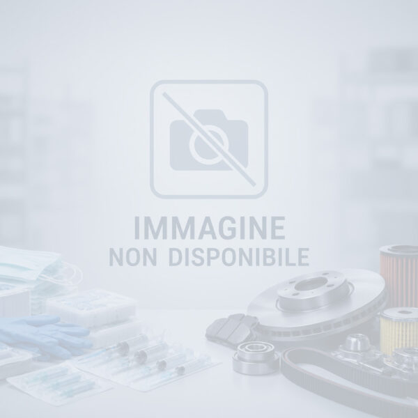In attesa dell'immagine del prodotto